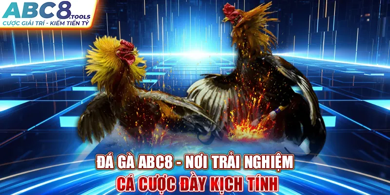 da-ga-abc8-noi-trai-nghiem-ca-cuoc-day-kich-tinh