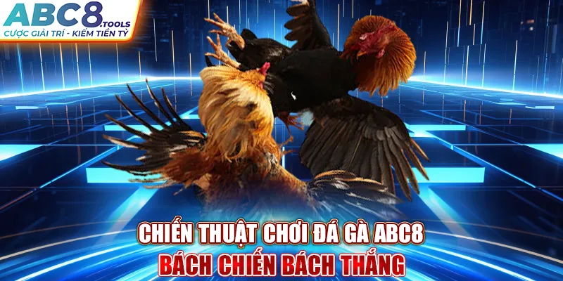 chien-thuat-choi-da-ga-abc8-bach-chien-bach-thang