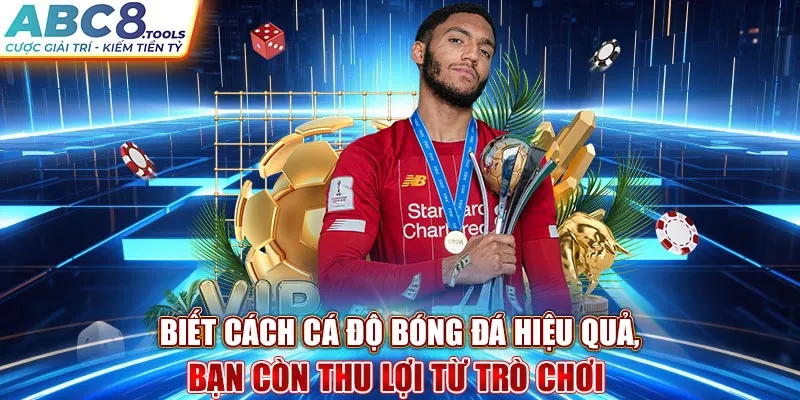 biet-cach-ca-do-bong-da-hieu-qua-ban-con-thu-loi-tu-tro-choi-