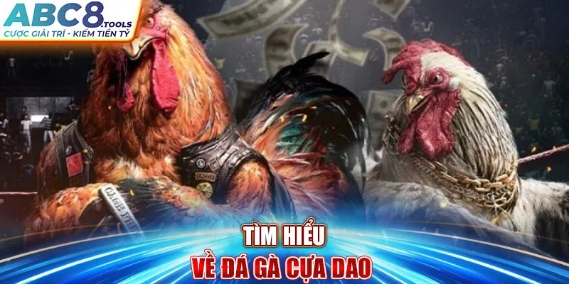 tim-hieu-ve-da-ga-cua-dao-