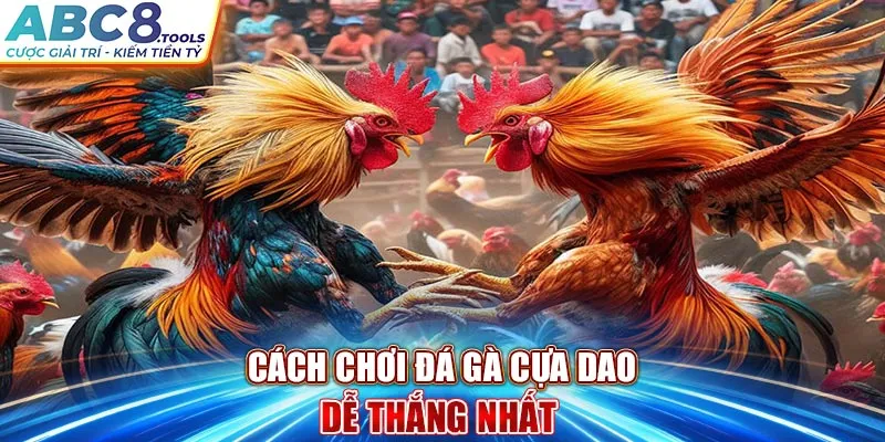 cach-choi-da-ga-cua-dao-de-thang-nhat-