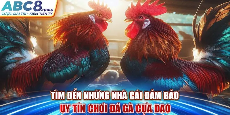 tim-den-nhung-nha-cai-dam-bao-uy-tin-choi-da-ga-cua-dao