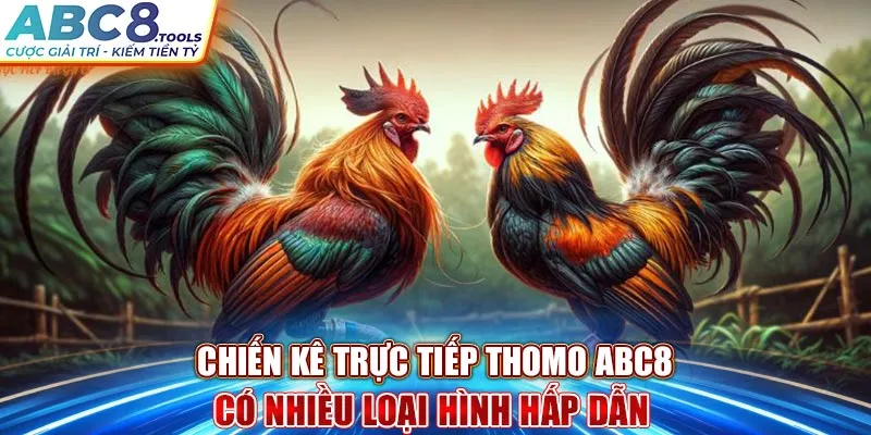 chien-ke-truc-tiep-thomo-abc8-co-nhieu-loai-hinh-hap-dan-