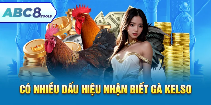 có-nhièu-dáu-hiẹu-nhạn-biét-gà-kelso-