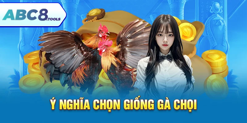 y-nghia-chon-giong-ga-choi-