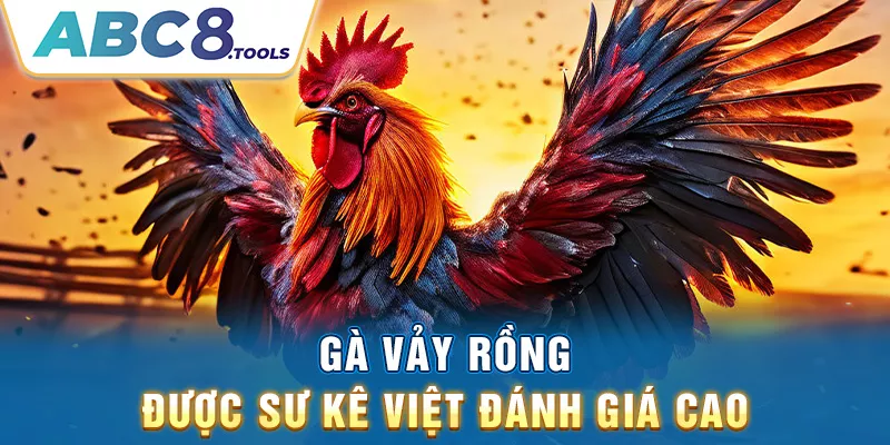 ga-vay-rong-duoc-su-ke-viet-danh-gia-cao