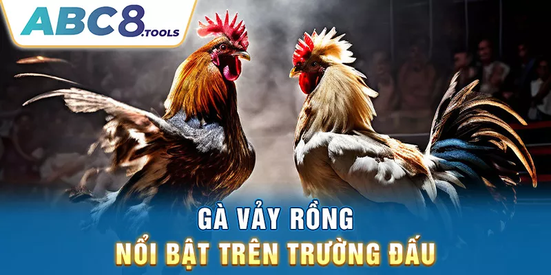 ga-vay-rong-noi-bat-tren-truong-dau